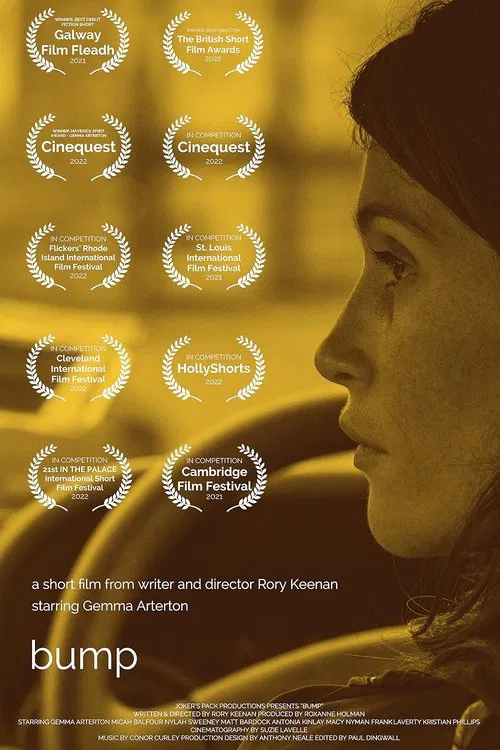 Bump movie poster