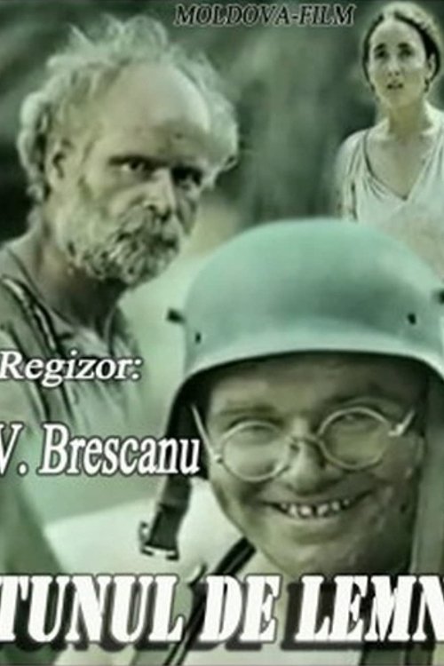 The Wooden Cannon movie poster