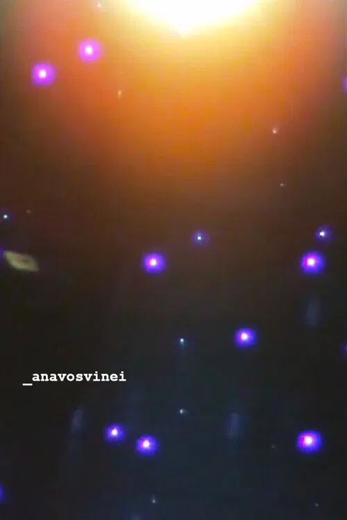 _anavosvinei movie poster