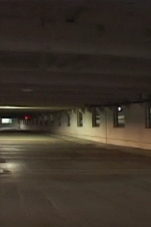 Poster do filme Odysseus in Ithaca