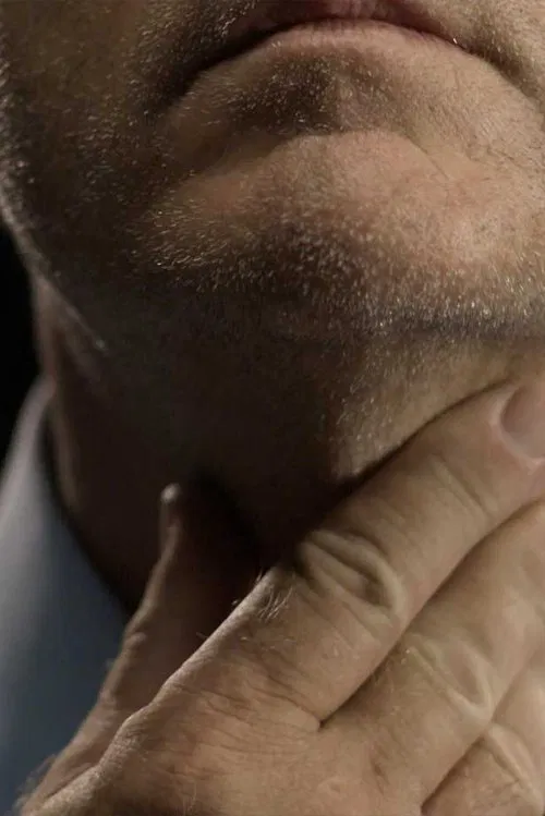 The Financial Crisis (Session I-IV) movie poster