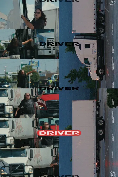 Poster do filme DRIVER