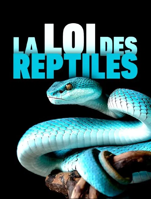 The Law of Reptiles movie poster