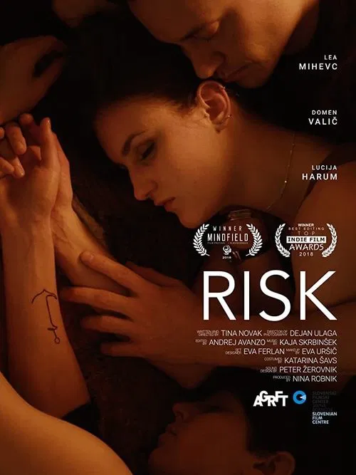 Risk movie poster