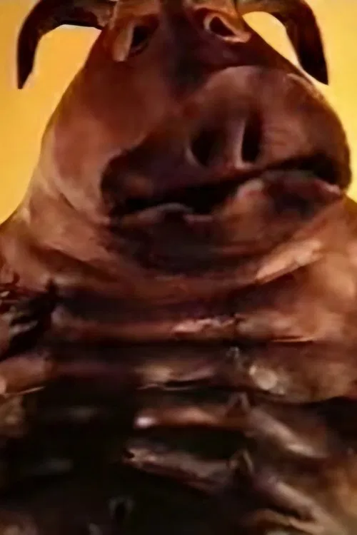 Near the Puddle movie poster