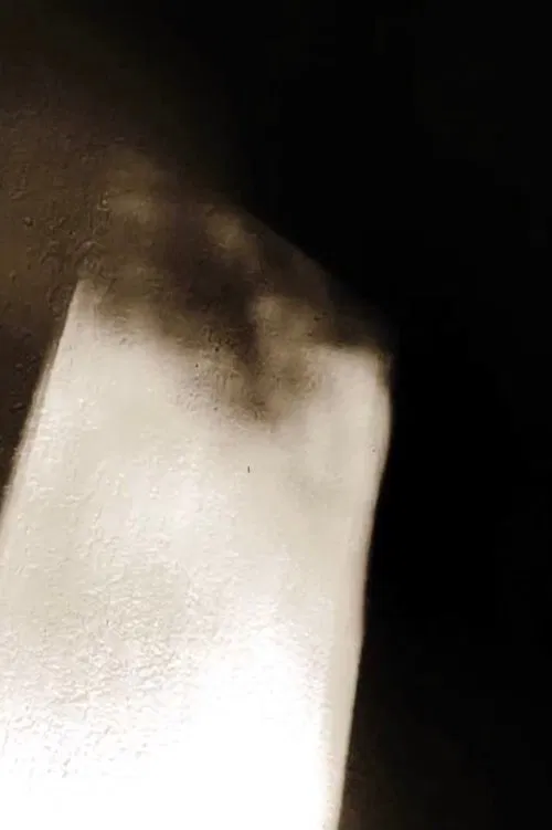 Poster do filme Afternoon