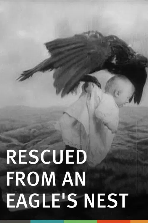 Rescued from an Eagle's Nest movie poster