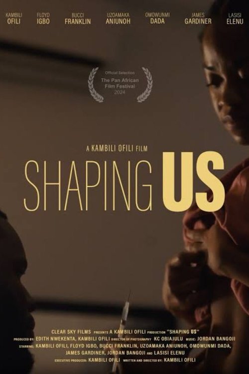 Shaping Us movie poster