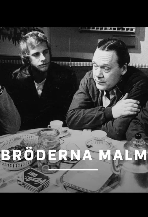 Bröderna Malm tv show poster