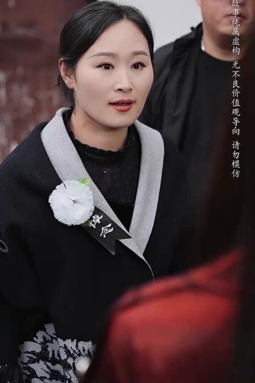 养母的秘密 tv show poster