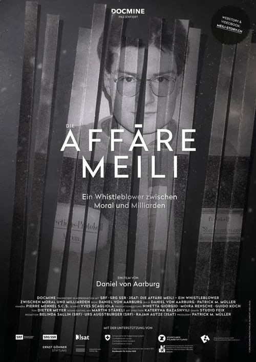 Die Affäre Meili movie poster