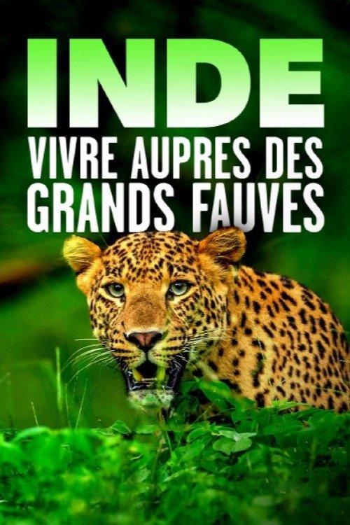 Inde - Vivre auprès des grands fauves movie poster
