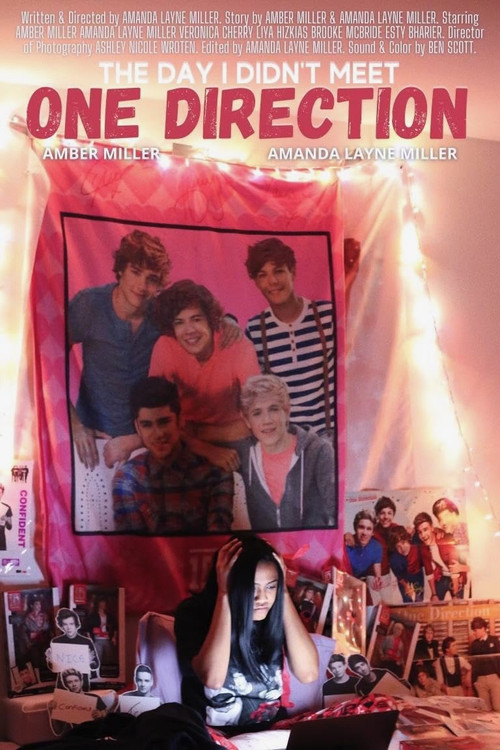 The Day I Didn't Meet One Direction movie poster
