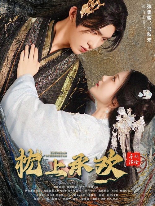 枕上承欢 tv show poster