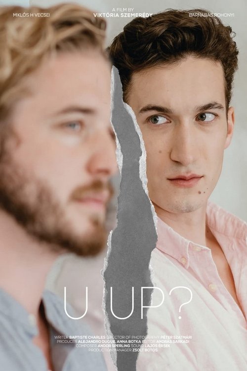 U Up? movie poster