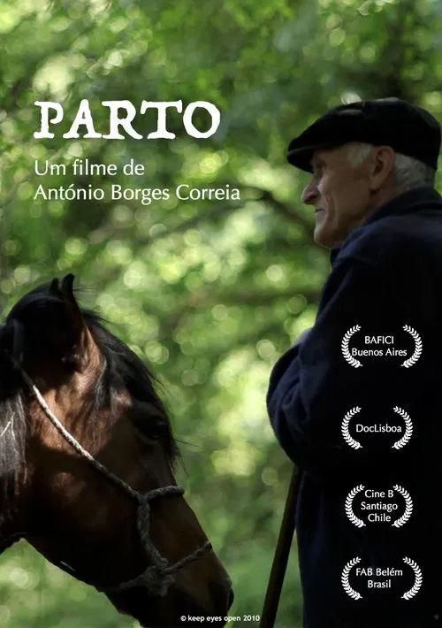 Parto movie poster