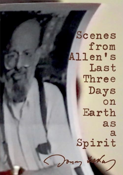 Scenes from Allen's Last Three Days on Earth as a Spirit movie poster