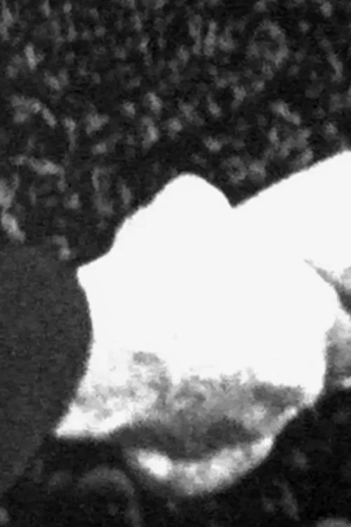 Poster do filme Mietersolidarität