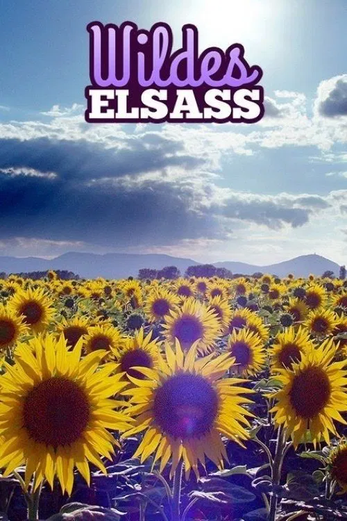 Wildes Elsass movie poster