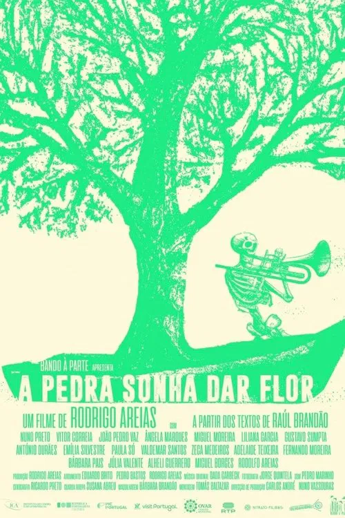 A pedra sonha dar flor movie poster