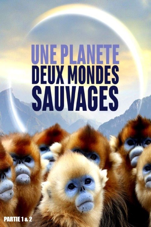 Une planète, deux mondes sauvages tv show poster