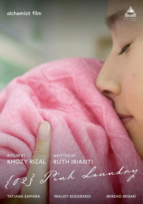 {02} PINK LAUNDRY movie poster