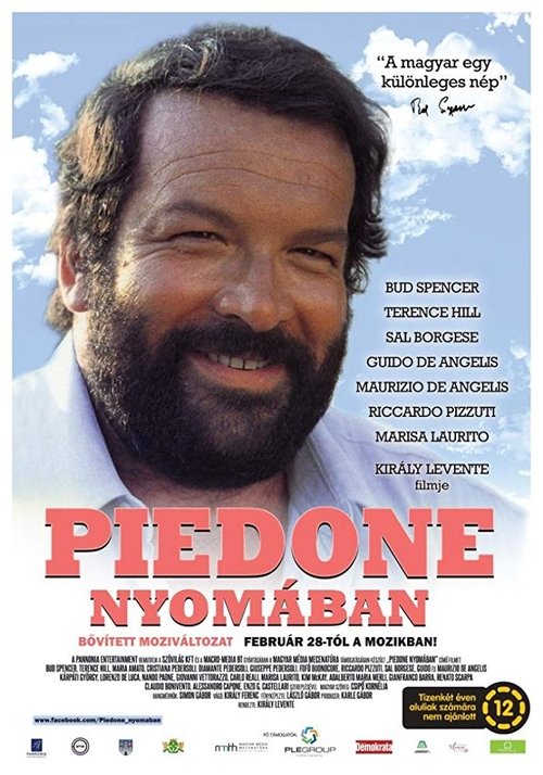 Poster do filme Piedone nyomában