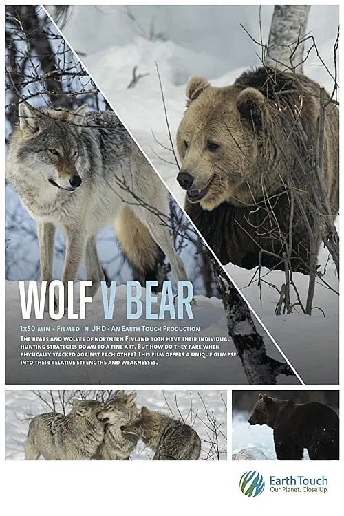 Wolf vs Bear movie poster