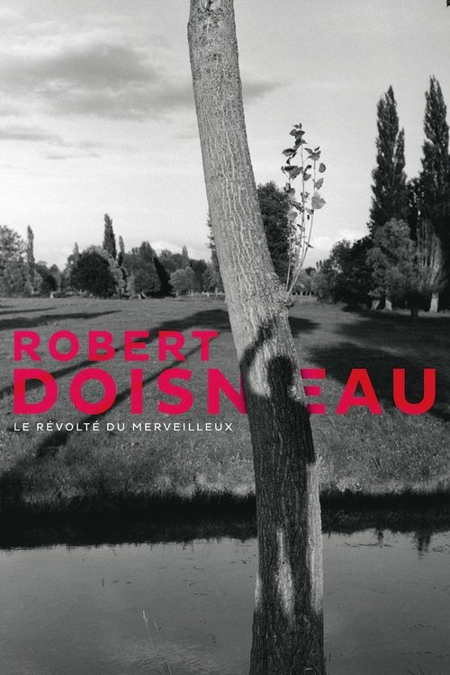 Robert Doisneau: Through the Lens movie poster
