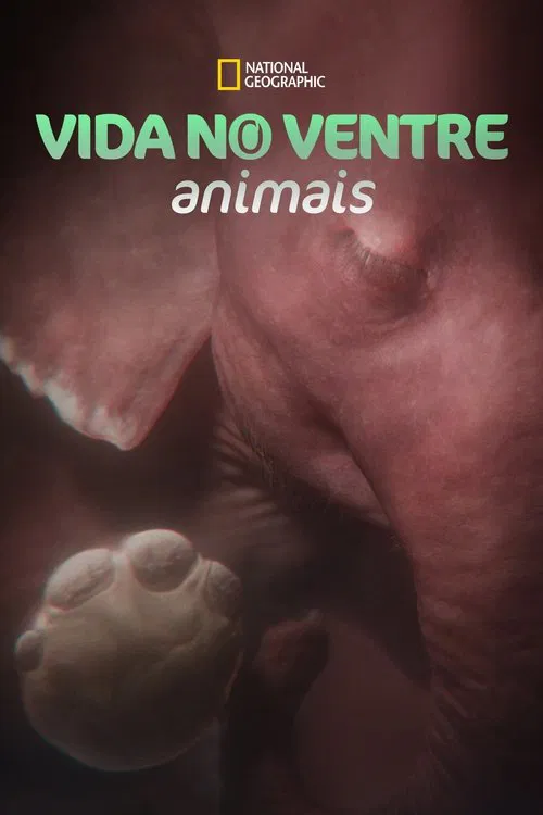 Poster da série Vida no Ventre: Animais