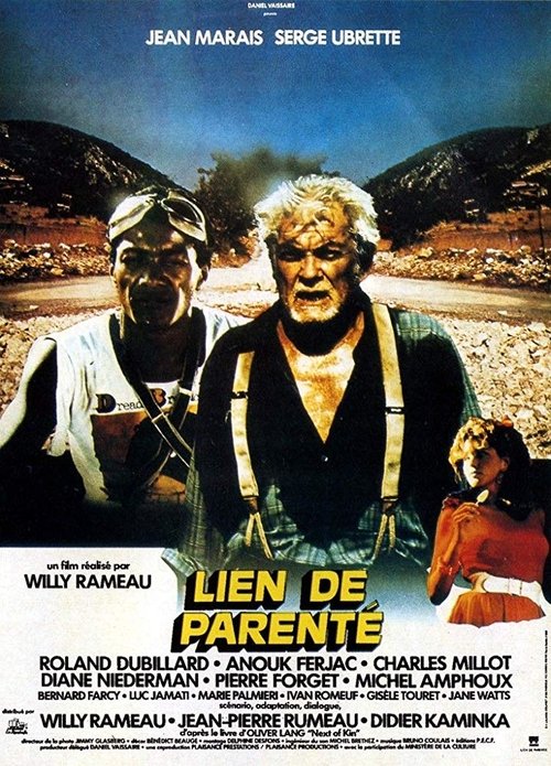 Poster do filme Lien de parenté