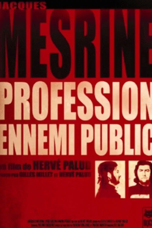Jacques Mesrine: profession ennemi public movie poster