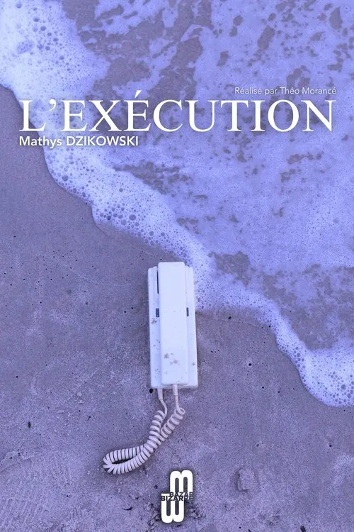 Poster do filme Execution
