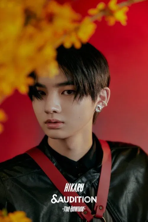 Hikaru profile picture