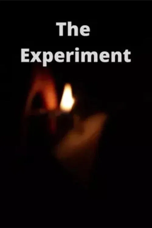 The Experiment movie poster