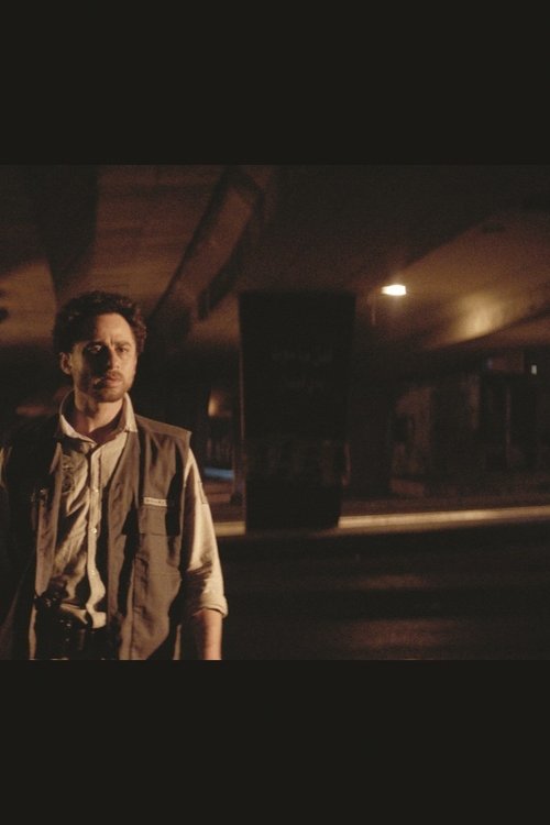 Poster do filme White Noise