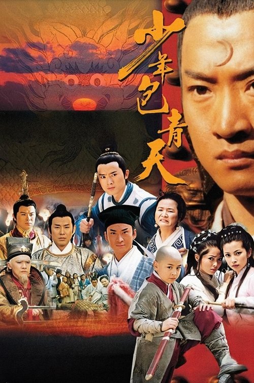 Poster da série Young Justice Bao