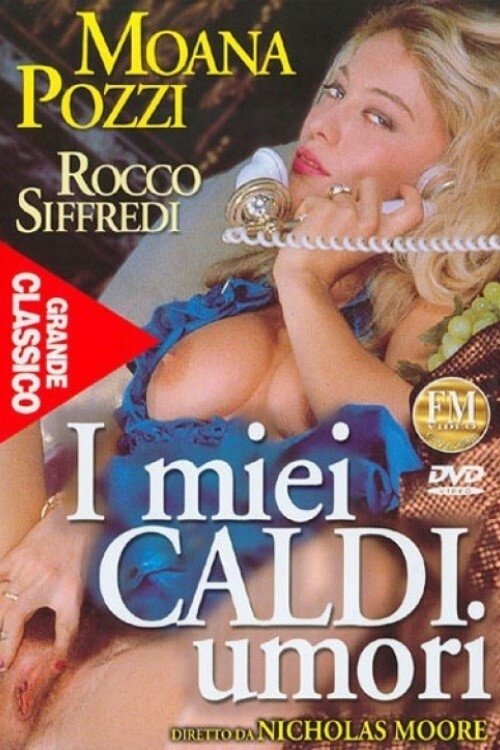 I Miei Caldi Umori movie poster
