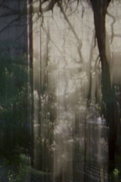 Die Urpflanze movie poster