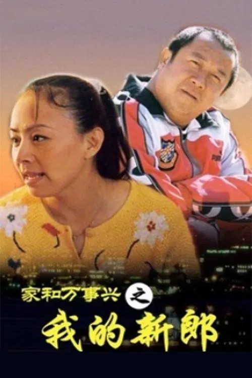 家和万事兴之我的新郎 tv show poster