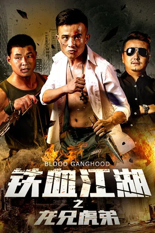 铁血江湖之龙兄虎弟 movie poster