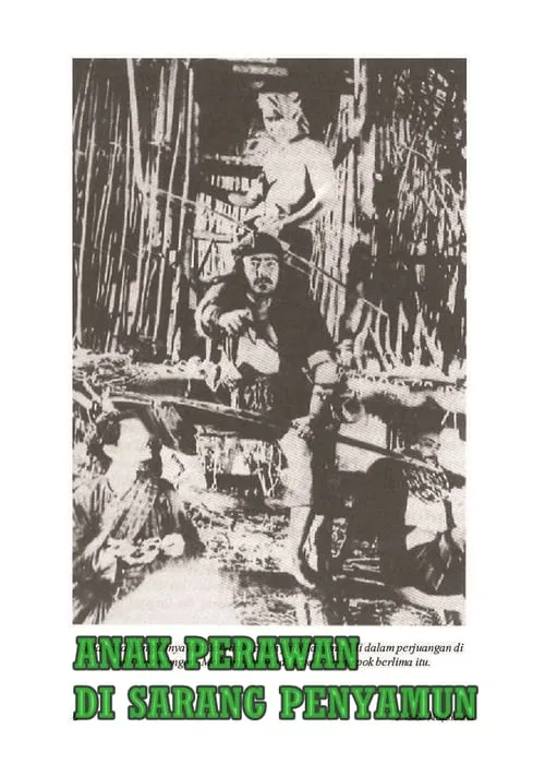 The Virgin in the Robbers' Nest movie poster
