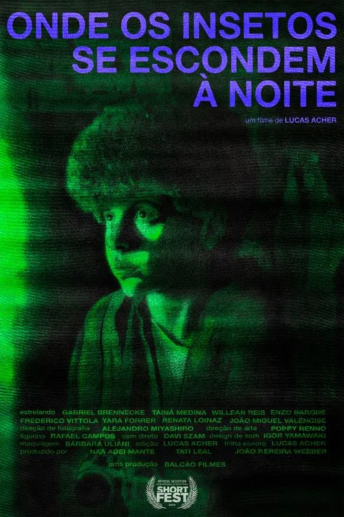 Where Insects Hide at Night movie poster