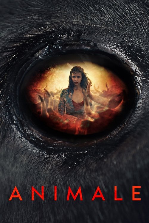 Animale movie poster
