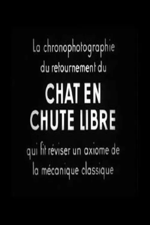 Chat En Chute Libre movie poster