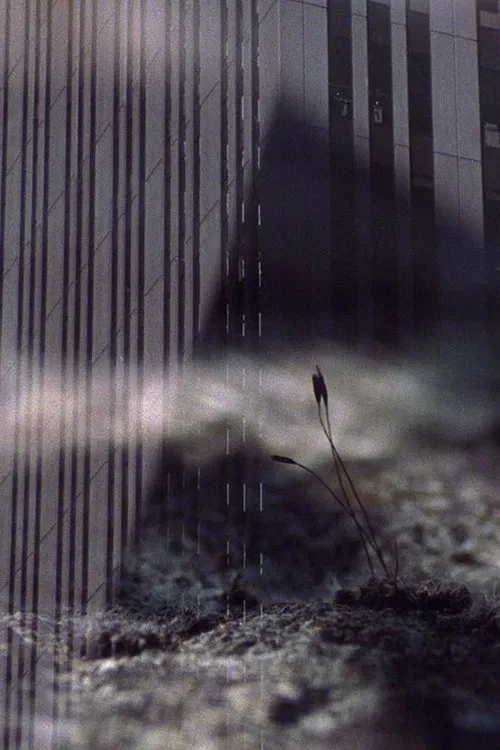 Cruel Optimism movie poster