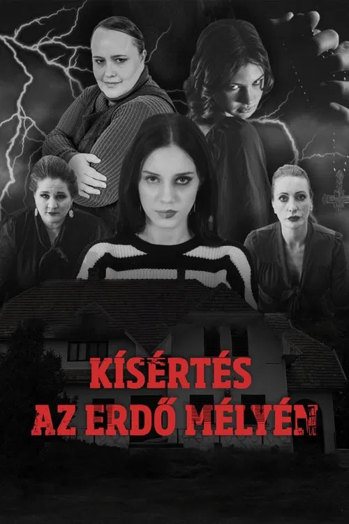 Kísértés az erdő mélyén - "A Megtört Fény" movie poster
