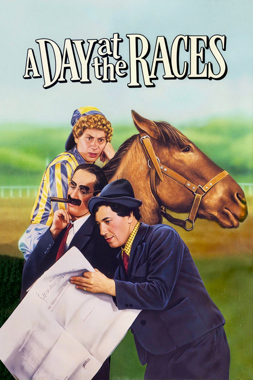 A Day at the Races movie poster