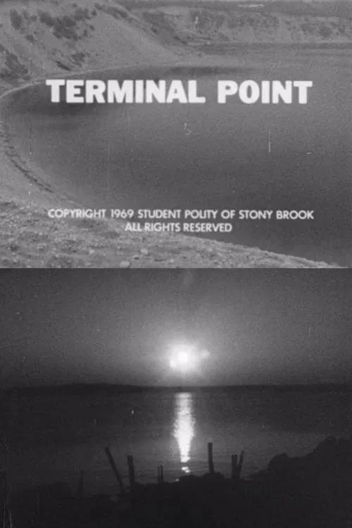 Terminal Point movie poster