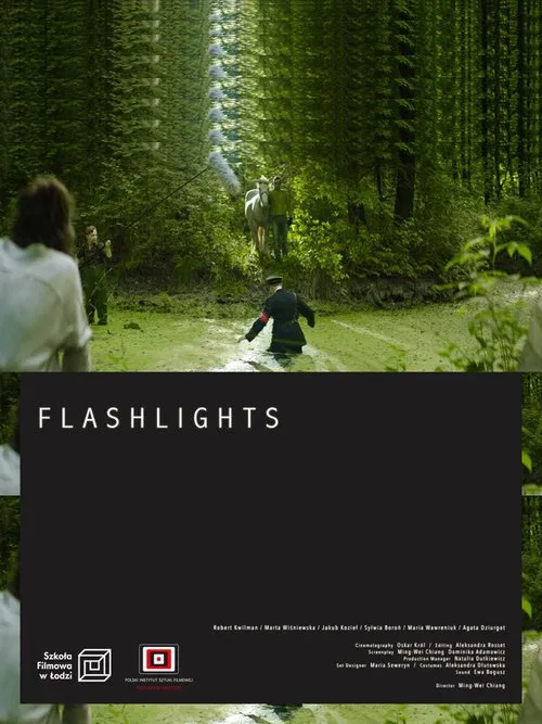 Flashlights movie poster